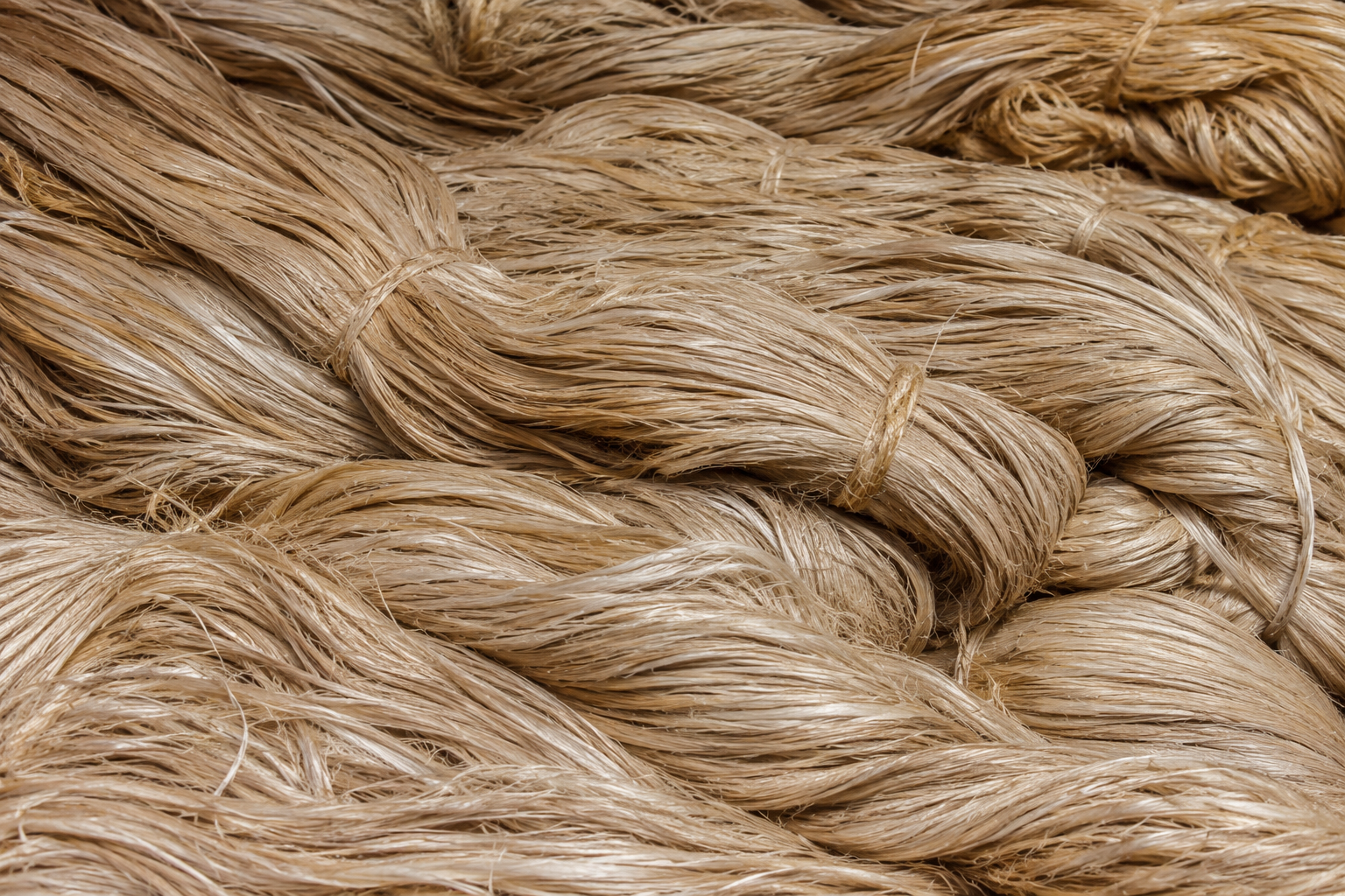 Jute: The Heritage Golden Fiber